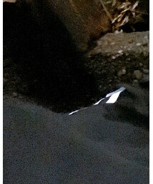 Supreme  | パーカー