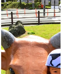 cow | その他