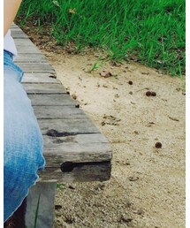 MARC JACOBS | アナログ腕時計