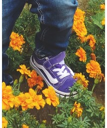 VANS | スニーカー