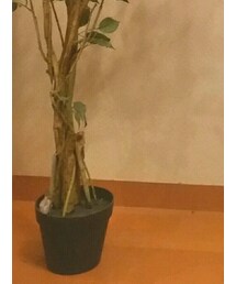 Reebok | スニーカー