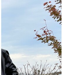 H&M | スラックス