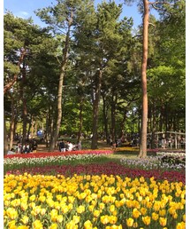 ひたち海浜公園 | その他