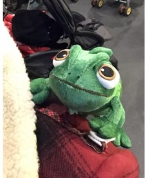 Pascal | フィギュア