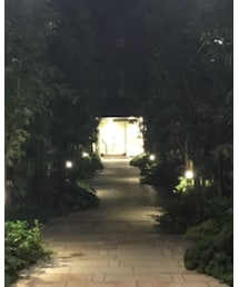 トトロ | インテリア