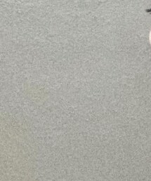 ZARA | Tシャツ/カットソー