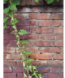 used | ジャケット/アウター