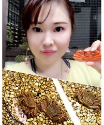 ✨まんぷくぷく〜🦀生簀のカニ✨ | その他