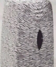 AMERICAN TOURISTER | トラベルグッズ