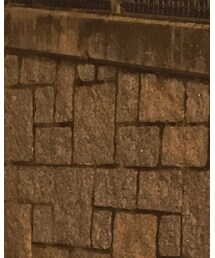 see concept paris | サングラス