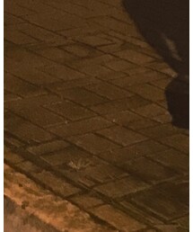 asos | バレエシューズ