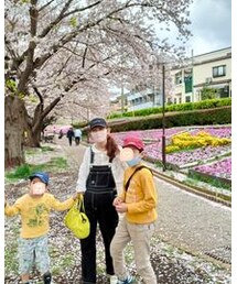 🌸🌸🌸 | その他