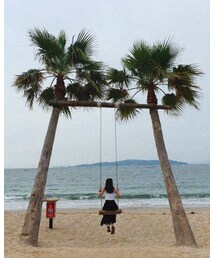 ヤシの木ブランコ | その他
