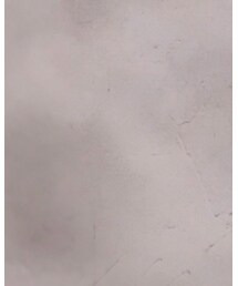 プーラヴィーダ | その他