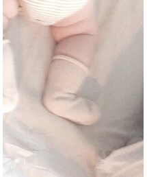 Birthday | ソックス/靴下