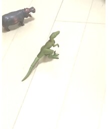 ダイナソー | その他