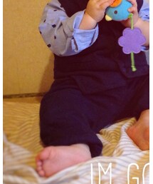 next | セットアップ