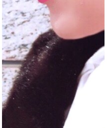 used | その他アウター