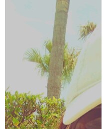 American Eagle | キャップ