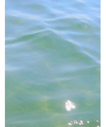 CAP Girl | キャップ