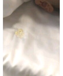 七五三 | その他