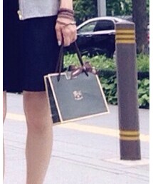 IL BISONTE | 福袋/福箱