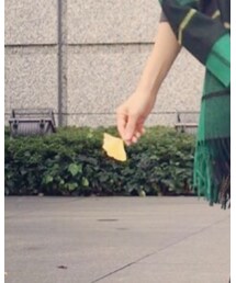 銀杏 | 福袋/福箱