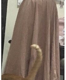 INGNI | スカート