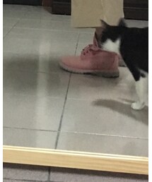 Timberland | シューズ