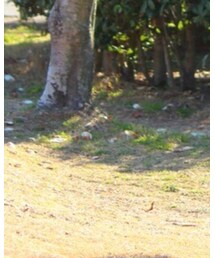 レンタルブティック azu | その他