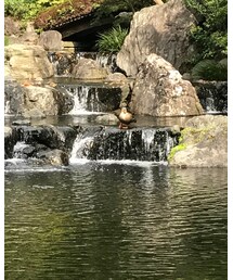寒川神社 4 | その他