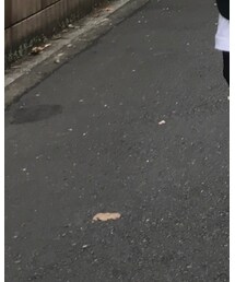 ZARA | その他パンツ