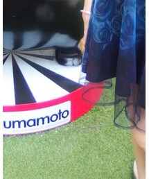 Blues Heroes | スカート