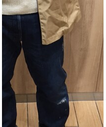 Inpaichthys kerri | デニムパンツ