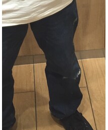 Inpaichthys kerri | デニムパンツ