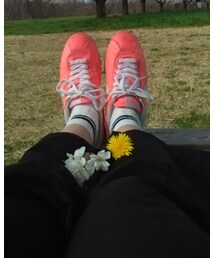 NIKE | コルテッツ(スニーカー)