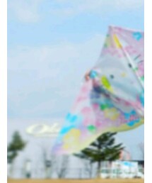 凧 | 雑貨/ホビー