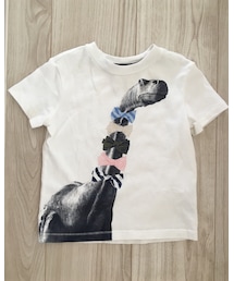 babyGAP | Tシャツ/カットソー
