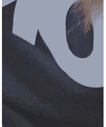 しまむら | Tシャツ/カットソー