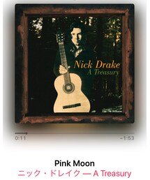 ♥️🎸ニックドレイクのピンクムーン！🎸♥️ | CD