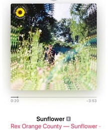 ♥️♥️🌻初夏によきsunflower🌻♥️♥️ | CD