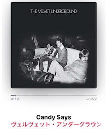♥️♥️🎸ベルベットアンダーグラウンド🎸♥️♥️ | CD