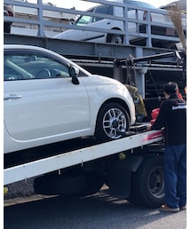 🧡チンクちゃん🧡 | その他