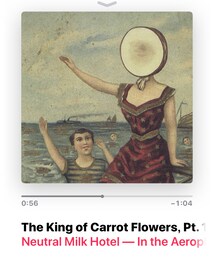 🧡netural milk hotel🧡 | CD