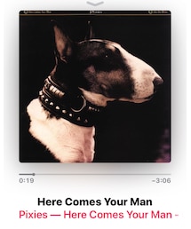 🧡今日もピクシーズ🧡 | 音楽/本・雑誌