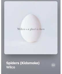 🎸WILCO🎸 | CD