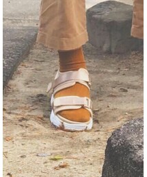 tutuanna | ソックス/靴下