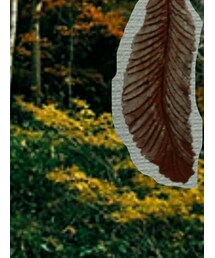 ORNER | アクセサリー