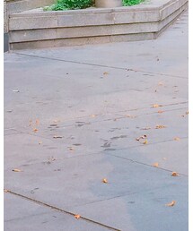 my dear❤️ | その他