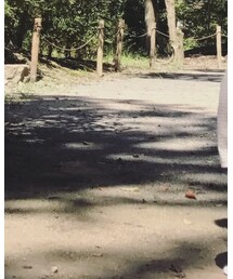 HM | スリッポン